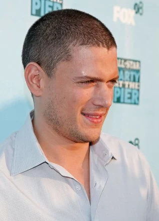 Wentworth Miller - miejsce 10./fot. AFP Wentworth Miller - miejsce 10./fot. AFP