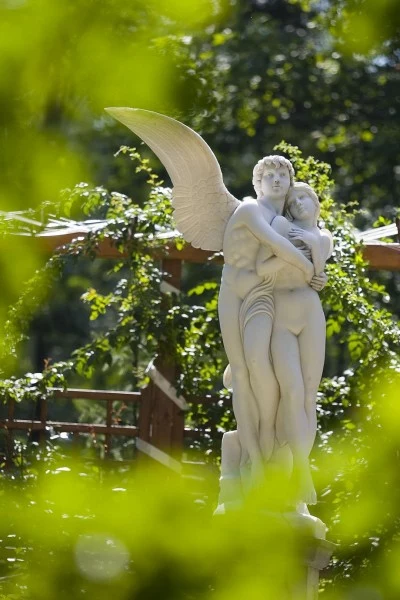 fot. Pałac Czarny Las fot. Pałac Czarny Las
