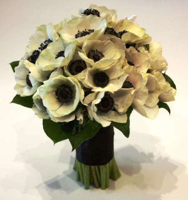 fot. Anna Matuszewska