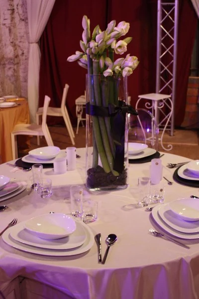 fot. Anna Matuszewska