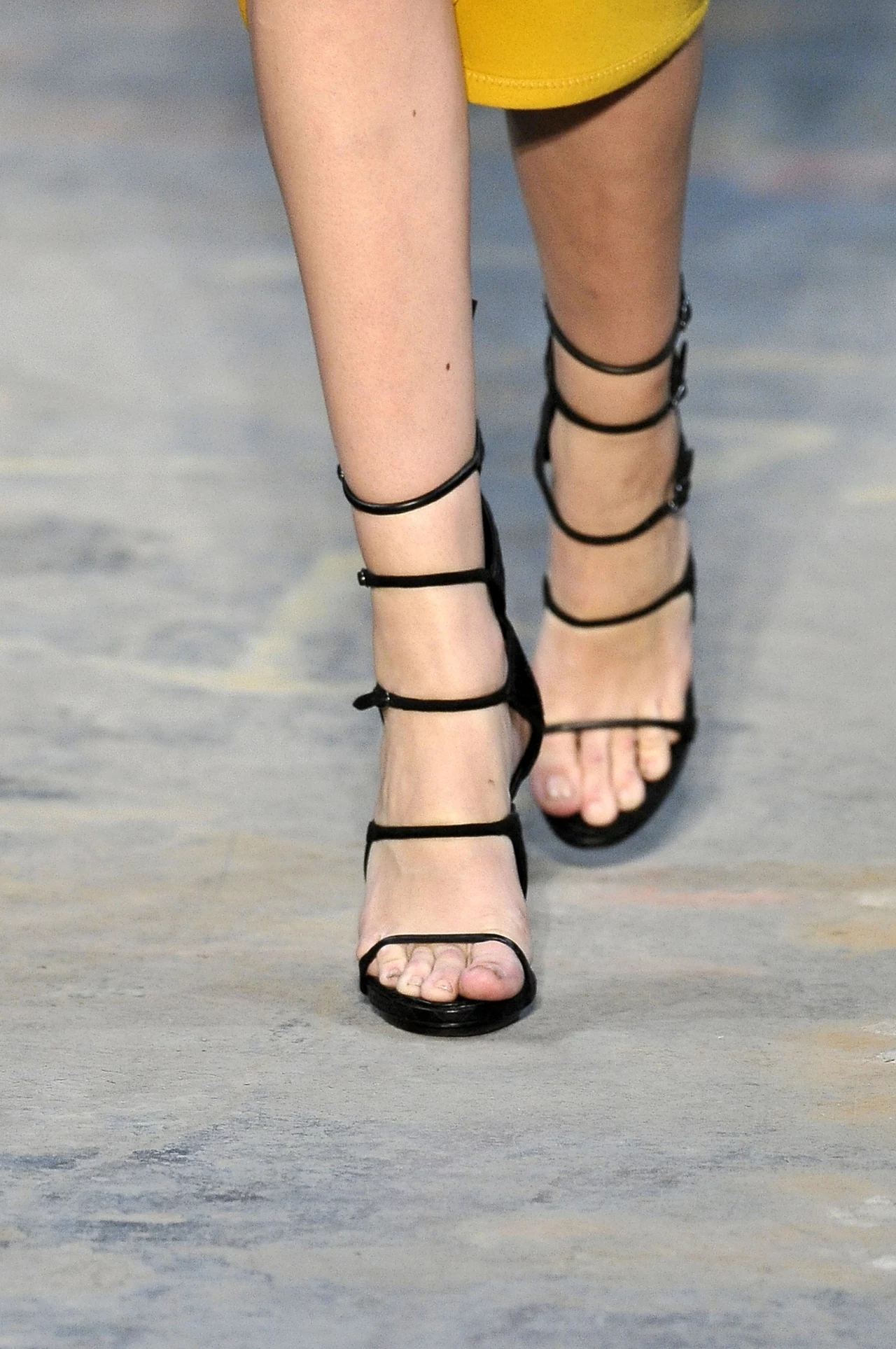 Proenza Schouler Proenza Schouler
