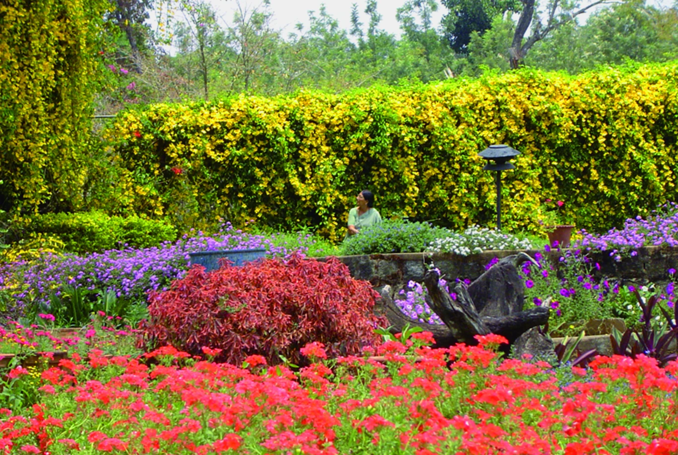 Charakterystyczny ogród w Kodagu