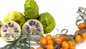 Kosmetyki z naturalnymi ekstraktami są bardzo skuteczne