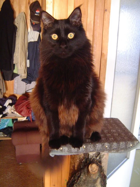 Salem Salem