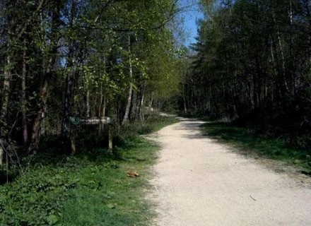 Droga gruntowa przecinająca St Leonard's Forest biegnąca w pobliżu feralnej polany.