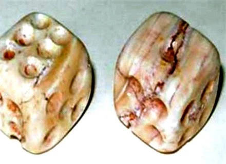 Najstarsze kości do gry odkryte w Syrii