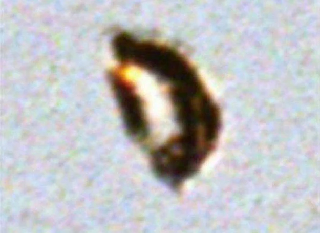 Biologiczne w formie UFO sfotografowane w marcu 2009 r. w Londynie