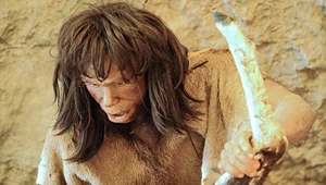 Wiemy dlaczego wyginął neandertalczyk