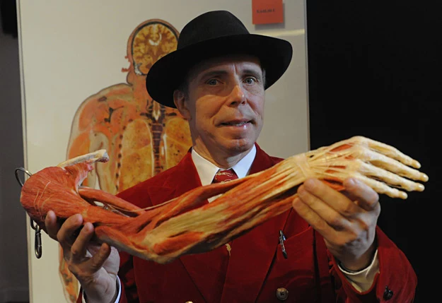 Gunther von Hagens prezentuje specjalnie wypreparowane ludzkie ramie