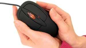 Thanko Warming Mouse