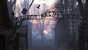 Człowiek, który wkradł się do Auschwitz