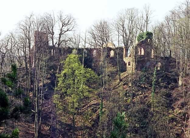 Ruina sztucznej ruiny, czyli Alte Burg Fürstenstein, zwany dziś Starym Książem.