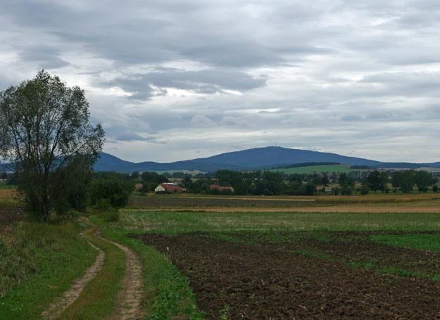 Panorama Pożarzyc od strony drogi prowadzącej do żwirowni. W tle góra Ślęża.