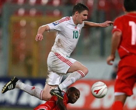 Zoltan Gera zdobył gola dla Węgier w meczu z Irlandią Północną. Zoltan Gera zdobył gola dla Węgier w meczu z Irlandią Północną.