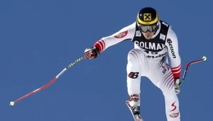 Mario Scheiber