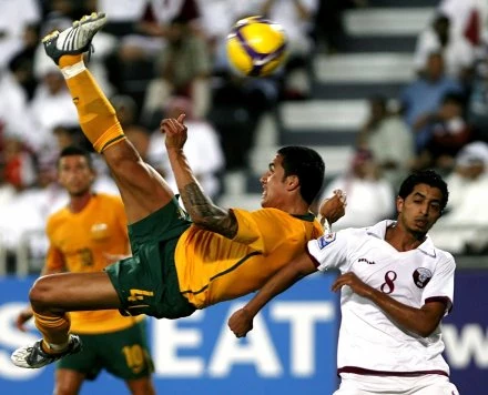 Tim Cahill