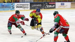 Wojas Podhale - Zagłębie Sosnowiec 7:3, Fot Tadeusz Bącal