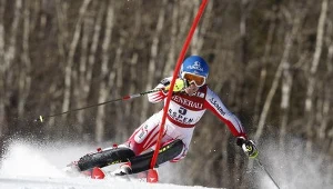 Marlies Schild