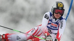 Kathrin Zettel