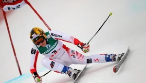 Renate Goetschl zreyzgnowała z uprawiania sportu po ubiegłorocznym sezonie