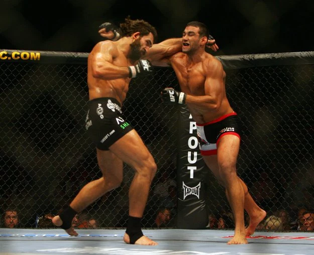 Werdum (z prawej) i Arlovski