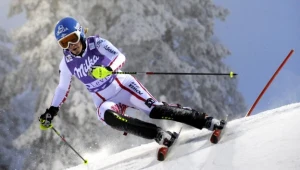 Marlies Schild