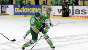 Hokeiści Zagłębia Sosnowiec mogą nie dokończyć rozgrywek fot: Tadeusz Bącal
