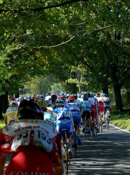 Filippo Pozzato z grupy Liquigas został zwycięzcą IV etapu 64 Tour de Pologne z Dzierżoniowa do Jeleniej Góry. Nowym liderem został kolega Pozzato z zespołu Antonio Fischer. Fot. Wojtek Szabelski