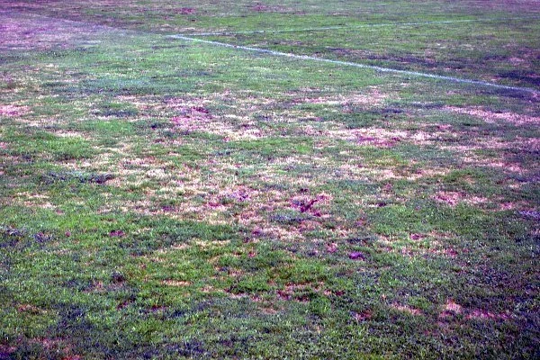 Polscy piłkarze w środowy wieczór zagrają o eliminacyjne punkty z San Marino. Fot. Grzegorz Wojtowicz.