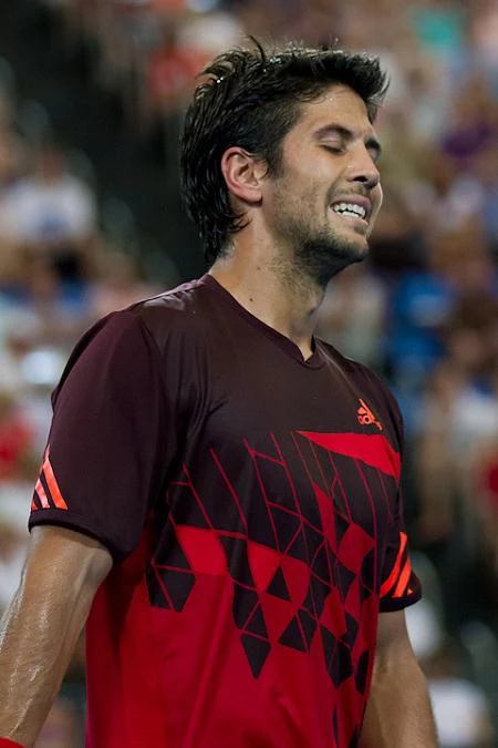 Fernando Verdasco Fernando Verdasco