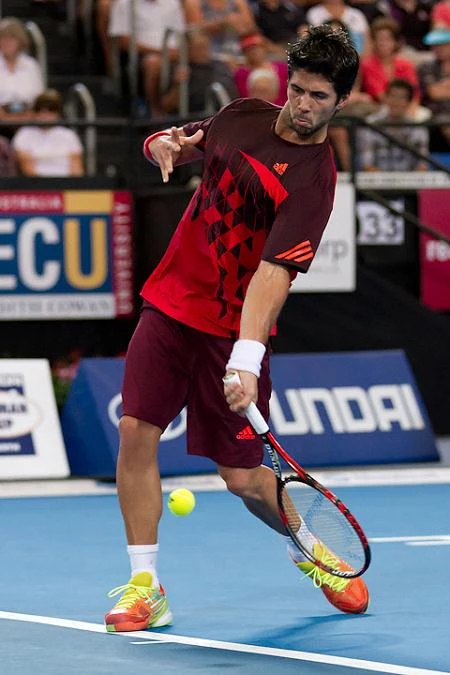 Fernando Verdasco Fernando Verdasco