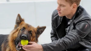 Rocky uczy się nowych sztuczek, przygotowuje do spotkania z Kubą Wesołowskim, który ponownie wcieli się w komisarza Bromskiego 