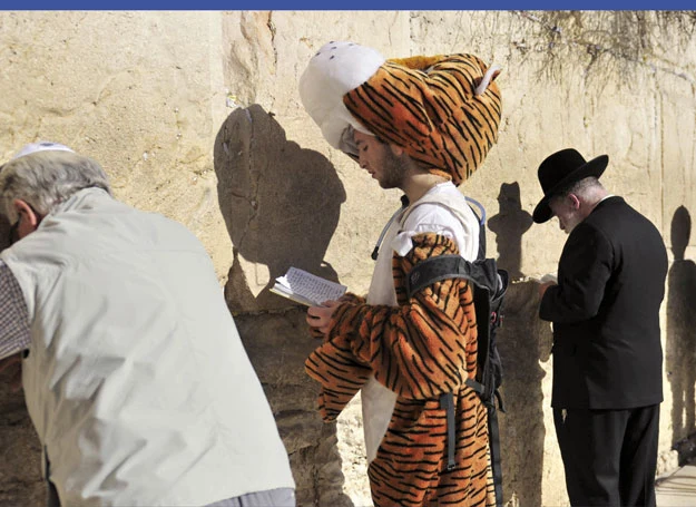 Okładka książki Okładka książki