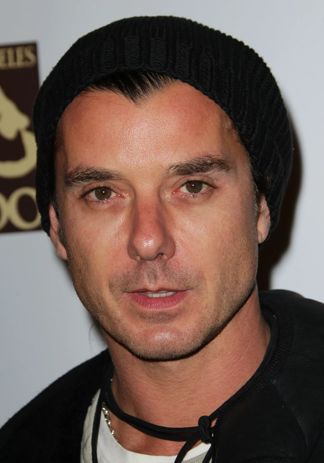 Gavin Rossdale do 2002 roku był gitarzystą i wokalistą brytyjskiej rockowej grupy Bush, od 2002 w grupie Institute Gavin Rossdale do 2002 roku był gitarzystą i wokalistą brytyjskiej rockowej grupy Bush, od 2002 w grupie Institute