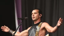 Gavin Rossdale do 2002 roku był gitarzystą i wokalistą brytyjskiej rockowej grupy Bush, od 2002 w grupie Institute