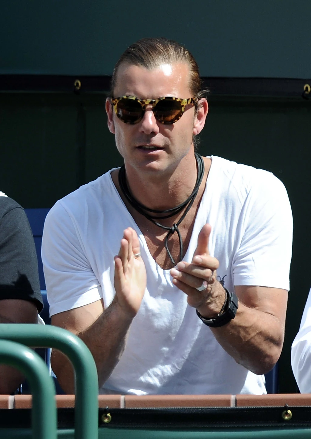 Gavin Rossdale do 2002 roku był gitarzystą i wokalistą brytyjskiej rockowej grupy Bush, od 2002 w grupie Institute Gavin Rossdale do 2002 roku był gitarzystą i wokalistą brytyjskiej rockowej grupy Bush, od 2002 w grupie Institute
