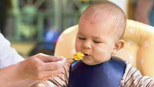 Gdy dziecko kończy 5-6 miesięcy, pora wprowadzać do jego jadłospisu nowe smaki