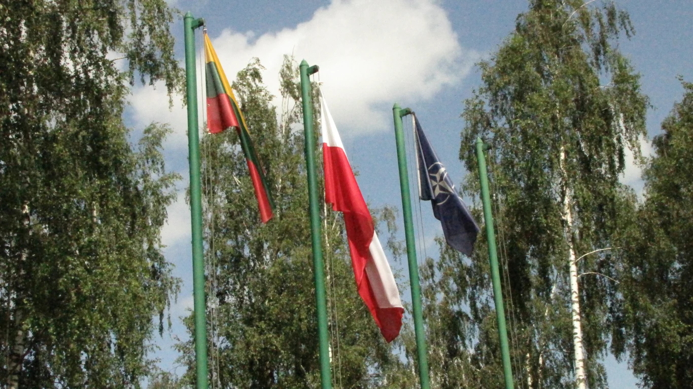 Polski kontyngent w litewskich Szawlach