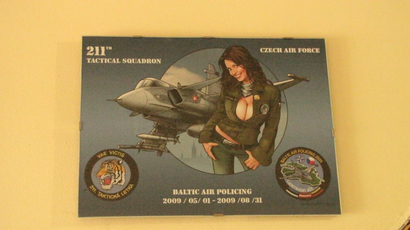 Polski kontyngent w litewskich Szawlach