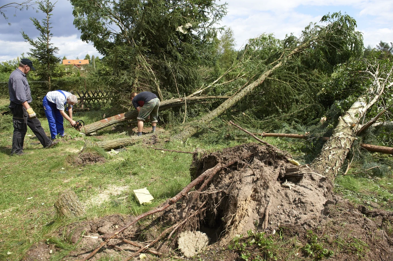 Wycinki (woj. pomorskie) po przejściu trąby powietrznej