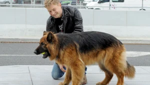 W Łodzi powstaje druga seria "Komisarza Aleksa" 