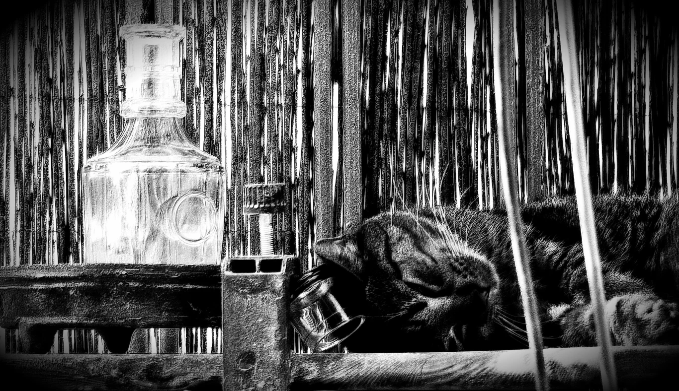 DZWONIEC DACHOWIEC;)
Flaszka od Jana do południa pozamiatała-duża moc ☼ świetlna...