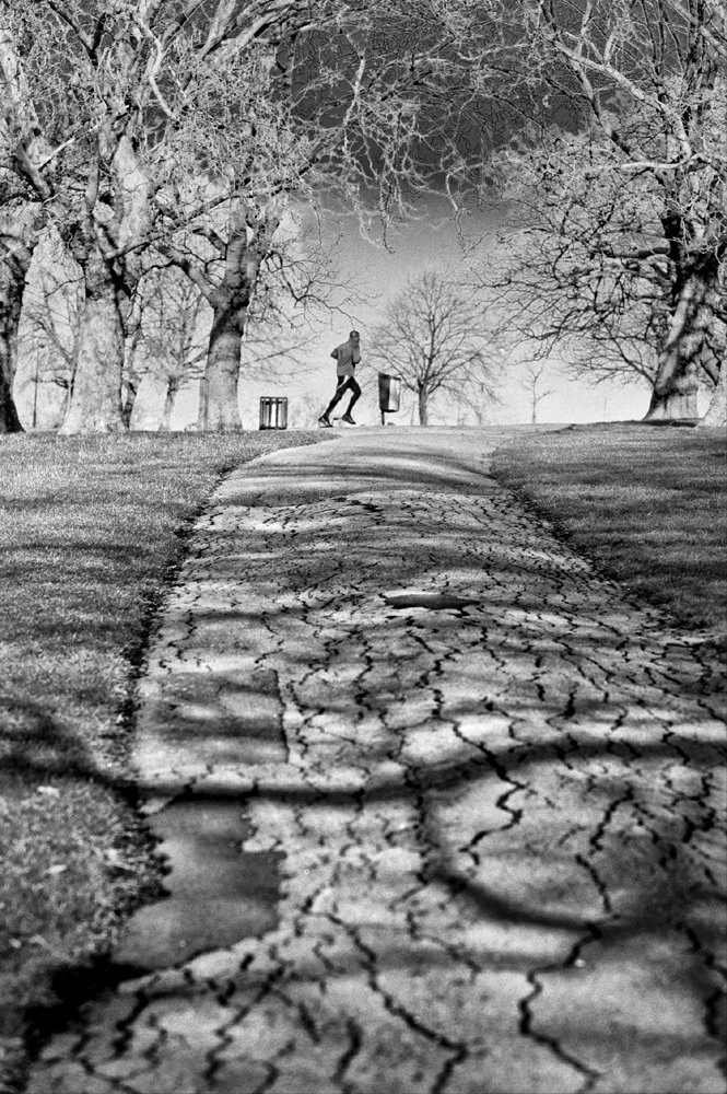 Zdjęcie autorstwa londyńskiego korespondenta RMF FM Bogdana Frymorgena