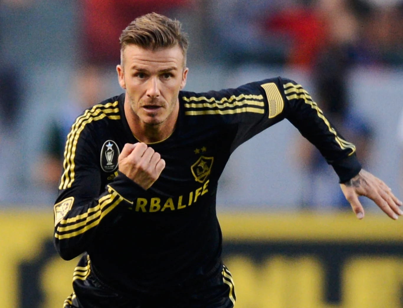 David Beckham David Beckham