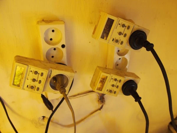 Plantacja pod Śremem należała do rzekomego pszczelarza