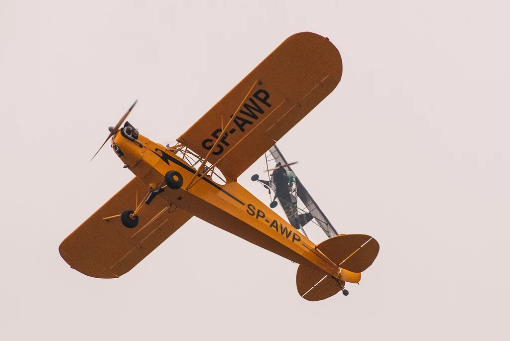 Para samolotów Piper Cub w dynamicznym pokazie