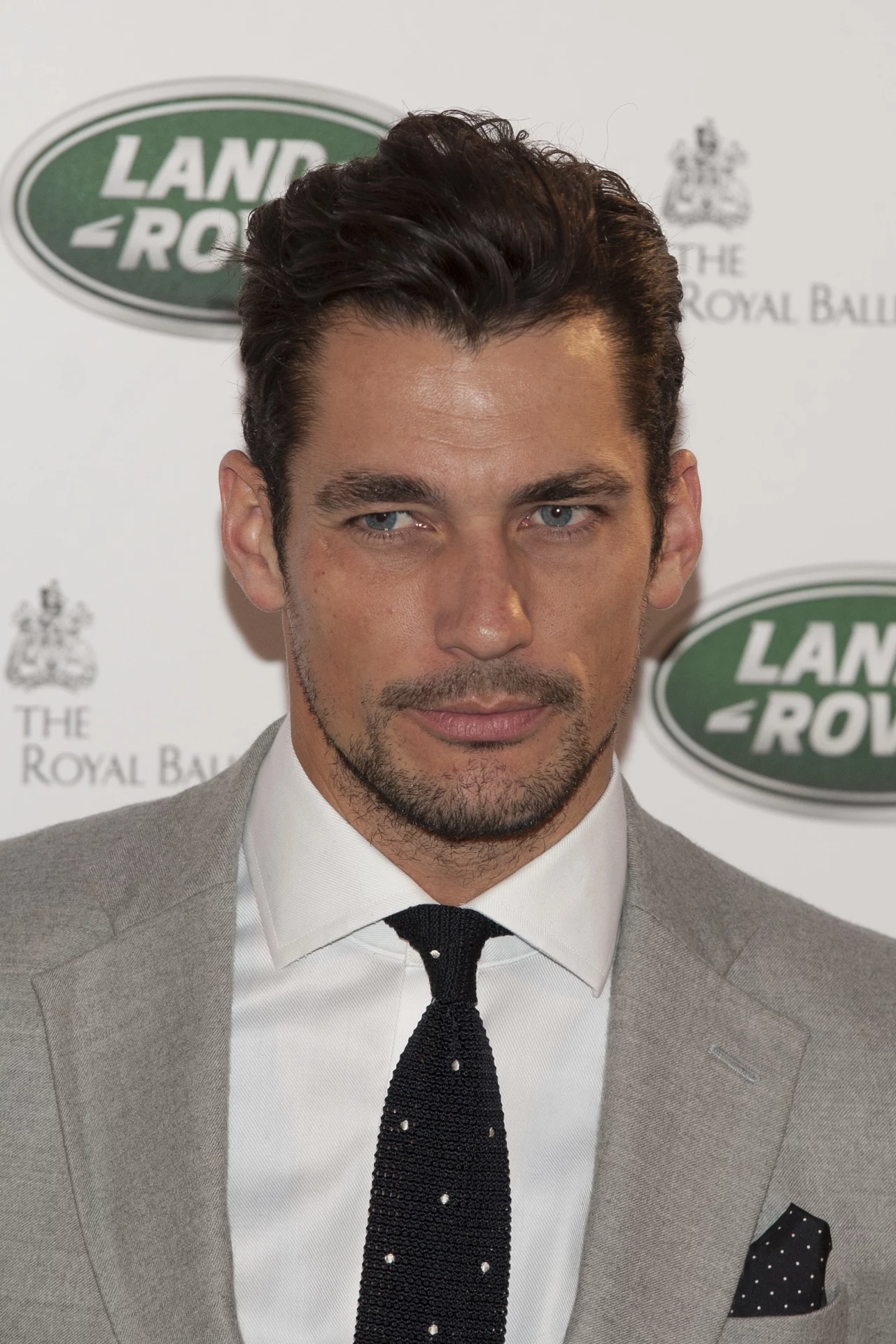 Podoba ci się David Gandy? Podoba ci się David Gandy?