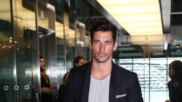 Podoba ci się David Gandy?