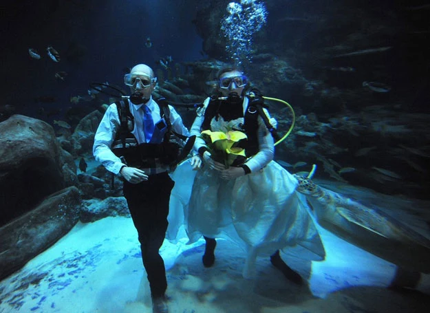 Ślub podwodny