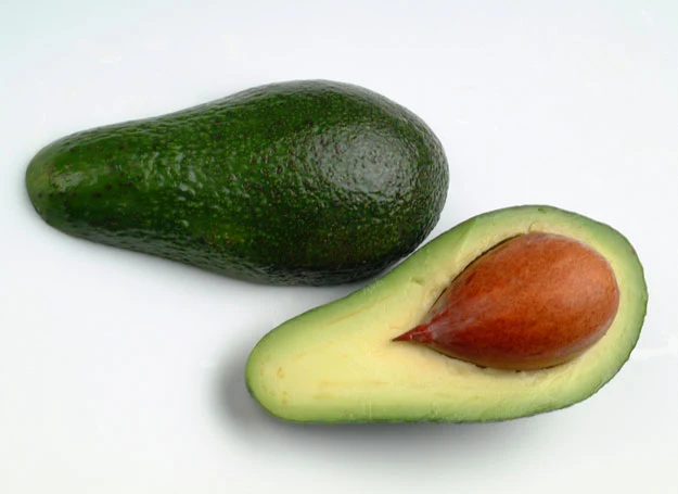 Awokado Awokado